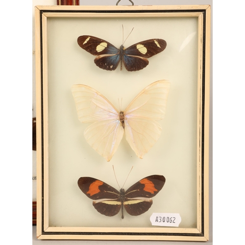 196 - Three framed cases of butterflies