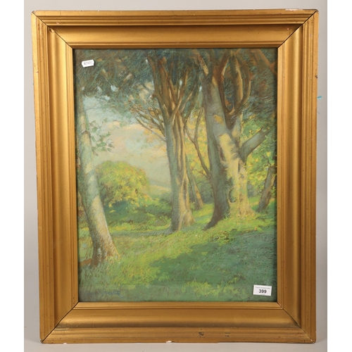 399 - Woodland scene, signed....David P......., Pastel on paper, 42 x 55 cm (69 x 58 cm including frame)