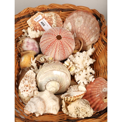 466 - Weaved basket containing variety of shells