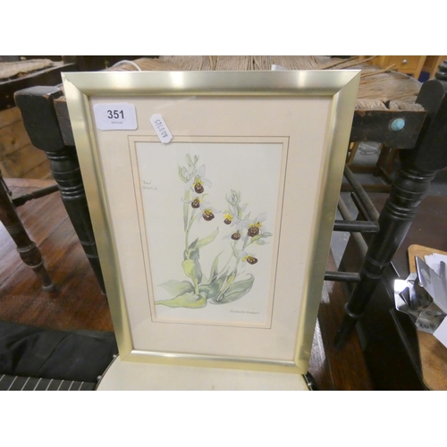 351 - Elizabeth Forster Orchid Watercolour also a linen Wall Art.