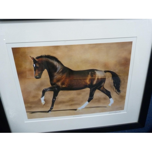 49 - Signed photograph of a horse, limited edition, by Alexandria Bannister, signed in pencil, 1/250, ano... 