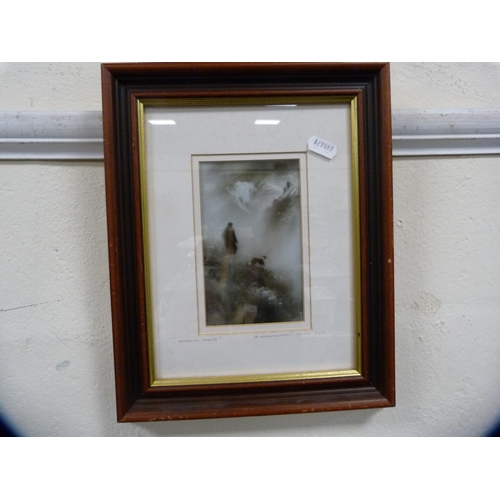 49 - Signed photograph of a horse, limited edition, by Alexandria Bannister, signed in pencil, 1/250, ano... 