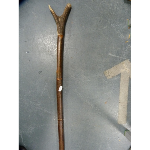 66 - Walking stick with antler handle and two hickory-shafted golf clubs.  (3)