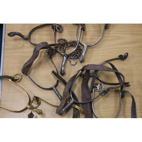 397 - Mahogany spur rack or stand and a group of spurs.