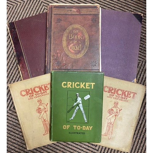 387 - Six cricket related books (6)