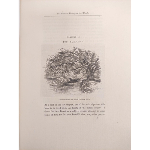 291 - WISE JOHN R.  The New Forest, Its History & Its Scenery. Artist's Edition no. 17 of on... 