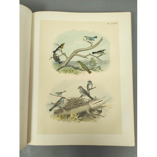 296 - STUDER JACOB H. & CO. (Pubs).  The Birds of North America. 119 col. plates (as called for) by Th... 