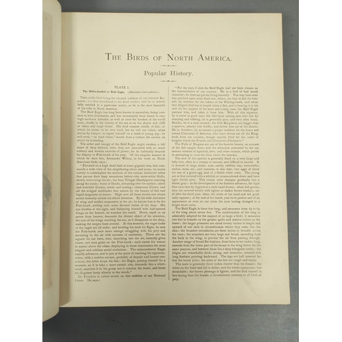 296 - STUDER JACOB H. & CO. (Pubs).  The Birds of North America. 119 col. plates (as called for) by Th... 