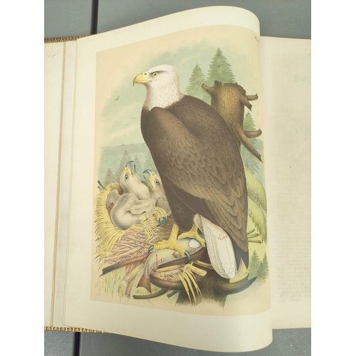 296 - STUDER JACOB H. & CO. (Pubs).  The Birds of North America. 119 col. plates (as called for) by Th... 