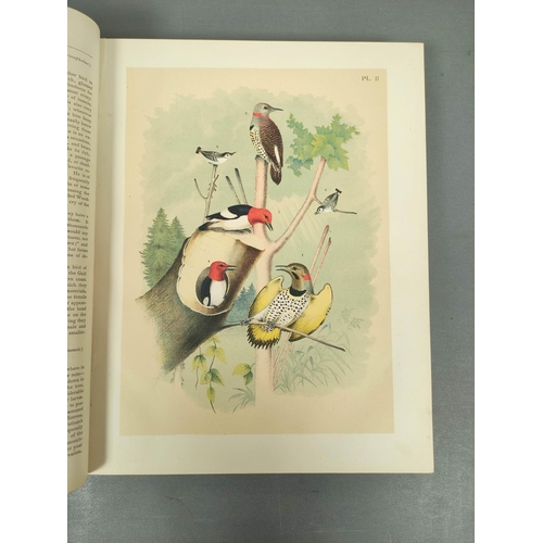 296 - STUDER JACOB H. & CO. (Pubs).  The Birds of North America. 119 col. plates (as called for) by Th... 