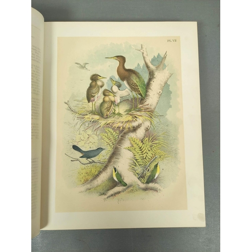 296 - STUDER JACOB H. & CO. (Pubs).  The Birds of North America. 119 col. plates (as called for) by Th... 