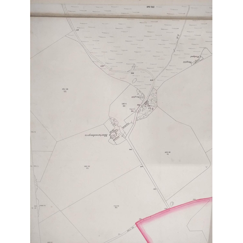 117 - Oakwood, Hutlerburn.  Very large folded sectional OS 2nd ed. map, from Ettrickbridge to Selkirk, fol... 