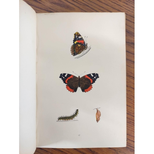 13 - MORRIS REV. F. O.  A History of British Butterflies. Good hand col. plates. Quarto. Orig. ... 