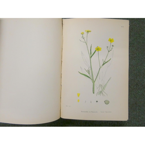 146 - BOSWELL SYME J. T. (Ed).  Sowerby's English Botany or Coloured Figures of British Plants. Vols. 1, 2... 