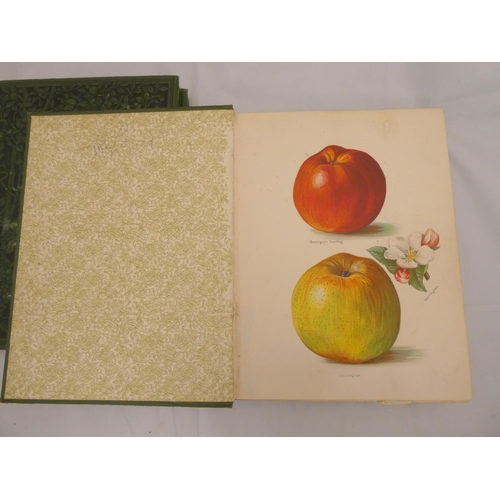 191 - WRIGHT JOHN.  The Fruit Grower's Guide. 4 vols. only, nos. 2 to 5. One chromolitho frontis & 29 ... 