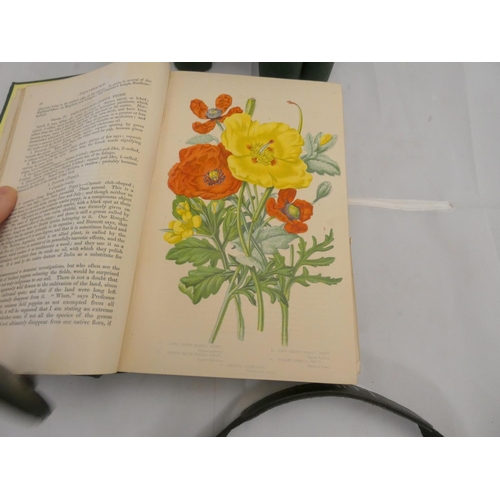 192 - PRATT ANNE.  The Flowering Plants of Great Britain.  4 vols. incl. the vol. re. Grasses, Sedges &... 