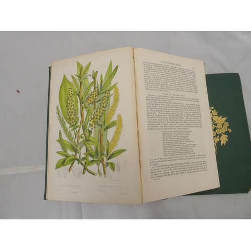 192 - PRATT ANNE.  The Flowering Plants of Great Britain.  4 vols. incl. the vol. re. Grasses, Sedges &... 