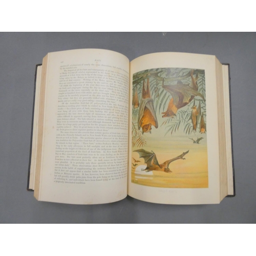 267 - LYDEKKER RICHARD (Ed).  The Royal Natural History. 6 vols. Chromolitho plates & other ... 