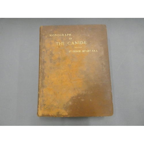 271 - MIVART ST. GEORGE.  Dogs, Jackals, Wolves & Foxes, A Monograph of the Canidae. 45 good... 