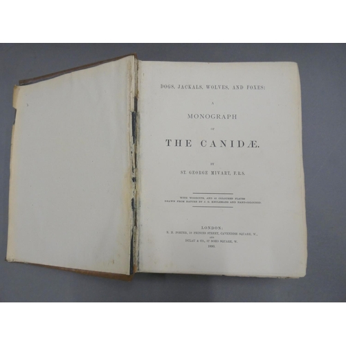 271 - MIVART ST. GEORGE.  Dogs, Jackals, Wolves & Foxes, A Monograph of the Canidae. 45 good... 