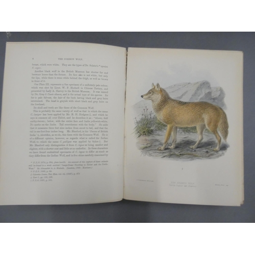 271 - MIVART ST. GEORGE.  Dogs, Jackals, Wolves & Foxes, A Monograph of the Canidae. 45 good... 