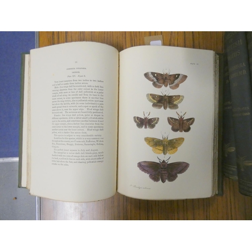 298 - MORRIS REV. F. O.  A History of British Moths ... With An Introduction by W. E. Kirby. 4 vols. Many ... 