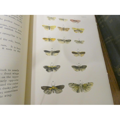 298 - MORRIS REV. F. O.  A History of British Moths ... With An Introduction by W. E. Kirby. 4 vols. Many ... 