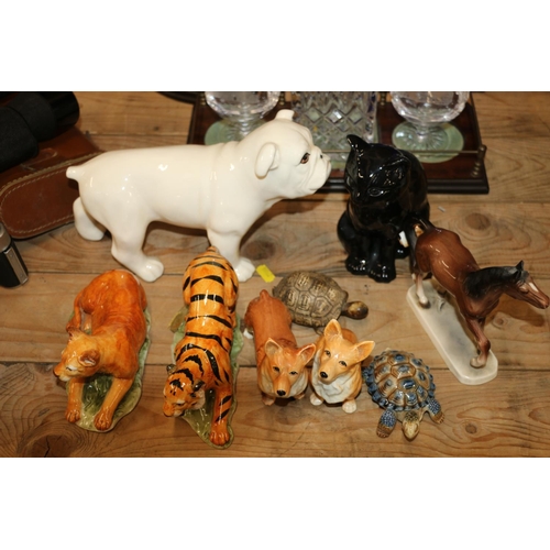 126 - Ceramic models  to include a white bulldog, 17cm, a black cat, wild animals, and others.