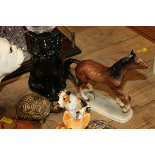 126 - Ceramic models  to include a white bulldog, 17cm, a black cat, wild animals, and others.