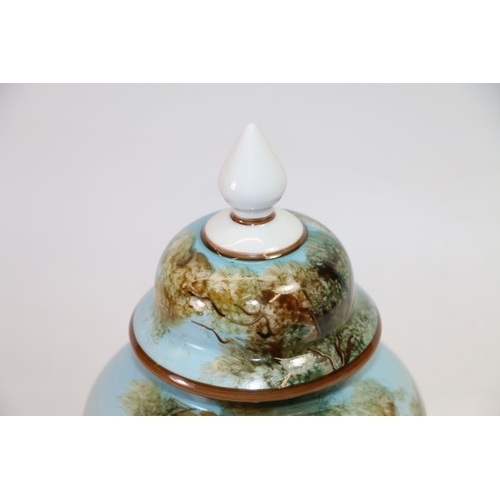 128 - Continental porcelain vase and cover painted with lakeside scene, 26cm high.