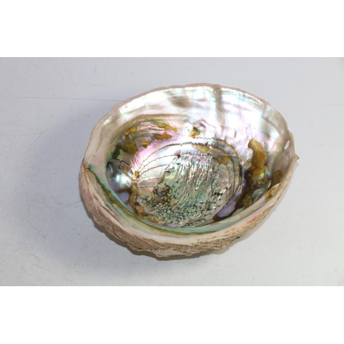 138 - Abalone shell, 20cm, and a white metal pillbox with mother-of-pearl top.