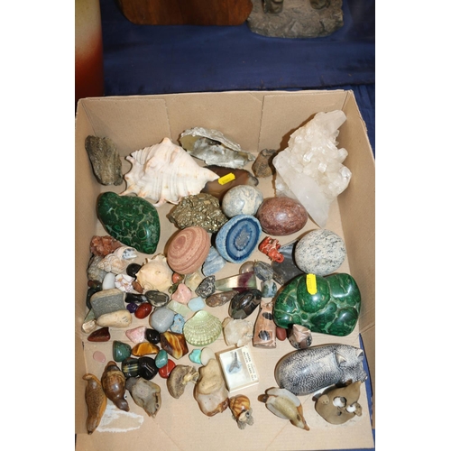 154 - Small mineral specimens, stones, crystals, shells and fossils.