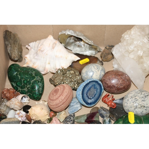 154 - Small mineral specimens, stones, crystals, shells and fossils.