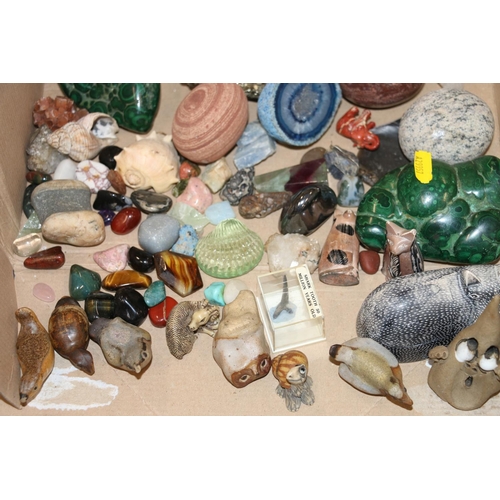 154 - Small mineral specimens, stones, crystals, shells and fossils.