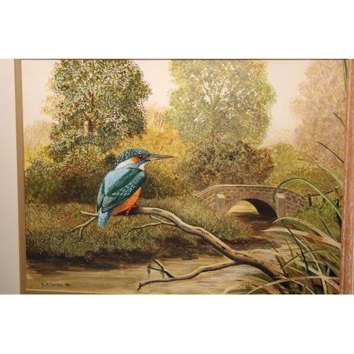 430 - M BENDALL, Blue Heron, pastel drawing, signed lower left, 43cm x 36cm. R M LAMBIE, Kingfisher, water... 