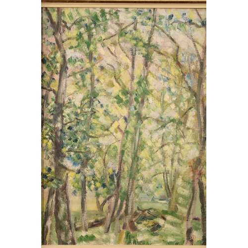 444 - 20TH CENTURY SCHOOL, Woodland and a Hillside, two oil paintings on canvas, unsigned, 39cm x 29cm, fr... 