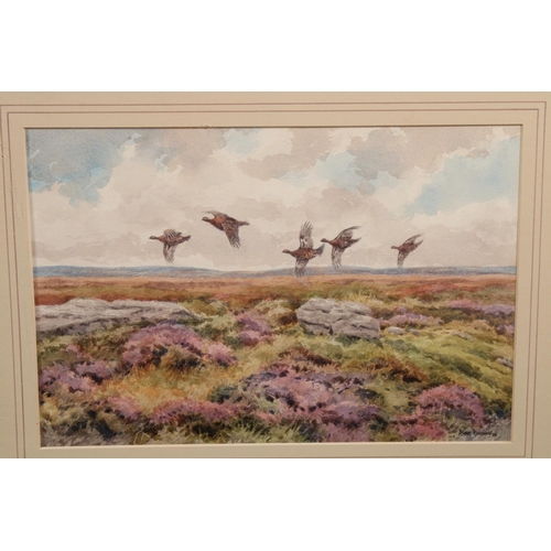 454 - BRIAN RAWLING, grouse in flight, watercolour, signed and dated 1994 lower right, 20cm x 29cm, frame ... 