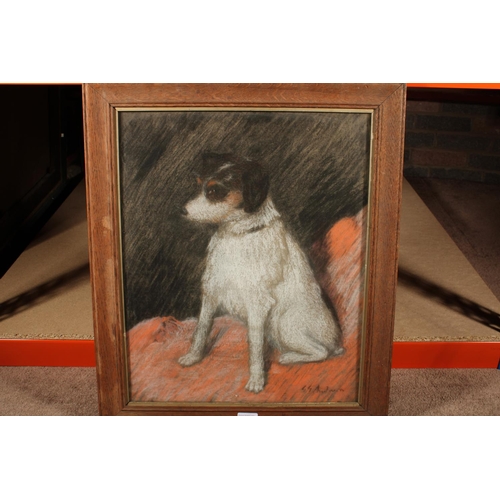 474 - G G ANDERSON, study of a dog, painting, singed lower right, 54cm x 44cm, oak frame 64cm x 55cm.