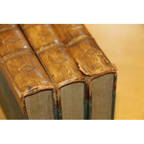 300 - Shelf containing Shakespeare and other leather bound books.