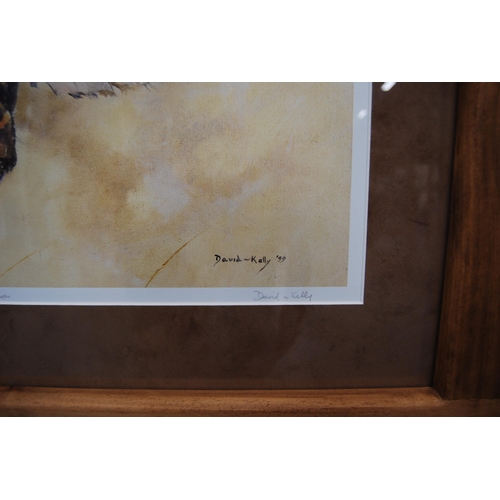 126 - David KellyLiwonde's EyesPencil signed limited edition print, no. 11/495, in a pine frame.... 