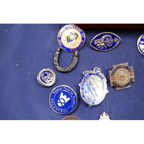 241 - Group of enamel badges to include the Great War, Girl Guides, Nurses etc.