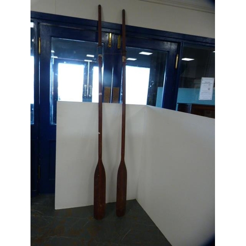 294 - Pair of oars.