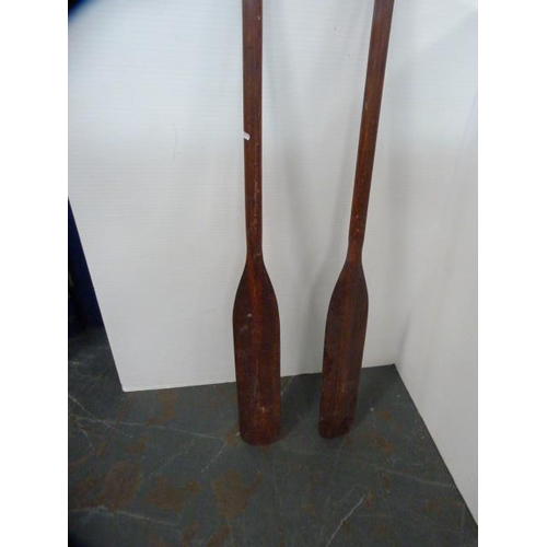 294 - Pair of oars.