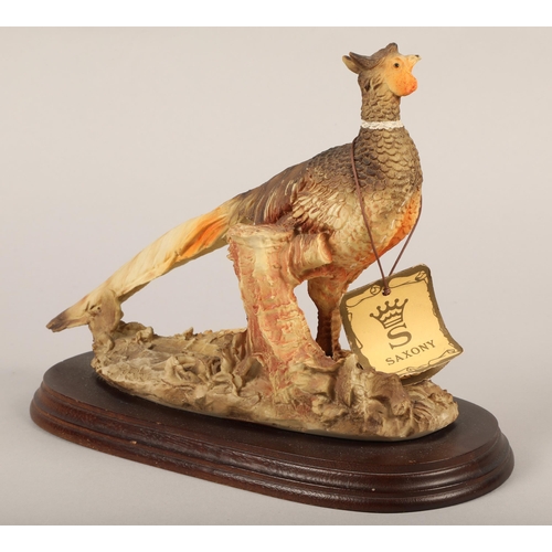 218 - Saxony Pheasant, 27 cm wide