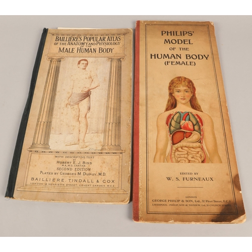 320 - Bailliere's Popular Atlas of the Anatomy and Physiology of the Male Human Body and Philips... 