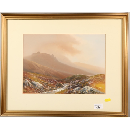 428 - Framed watercolour, mountain landscape, signed R. D. Sherrin, 26cm x 35cm (44cm x 54cm)