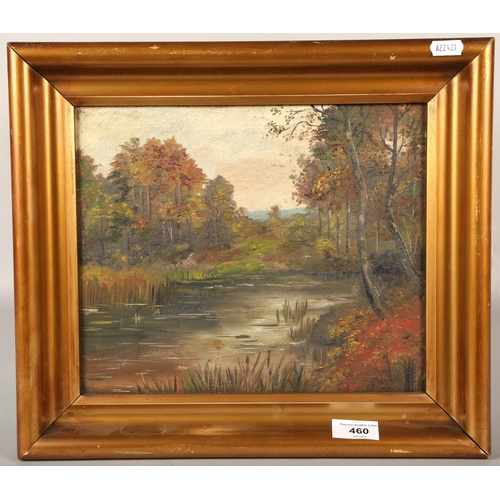 460 - Unsigned, woodland scene, oil on canvas, 24cm x 29cm, 34cm x 39cm (incl. frame)