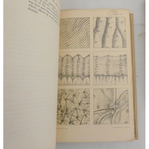 125 - (SIMMONS SAMUEL F.).  Elements of Anatomy & the Animal Oeconomy. 3 eng. diags. Old cal... 