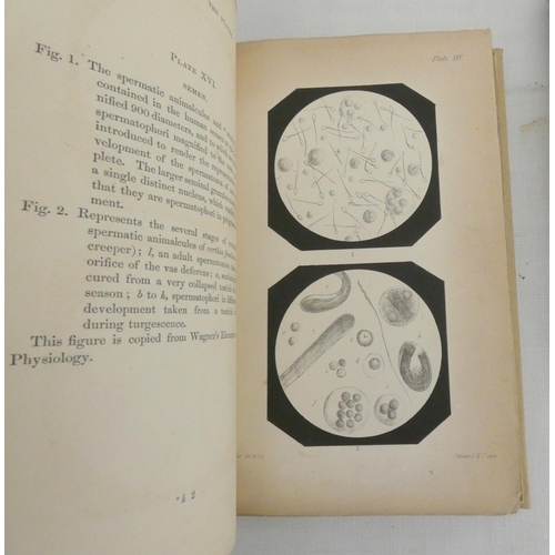 125 - (SIMMONS SAMUEL F.).  Elements of Anatomy & the Animal Oeconomy. 3 eng. diags. Old cal... 