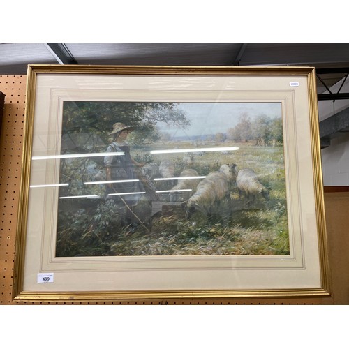 499 - Framed print, flock of sheep